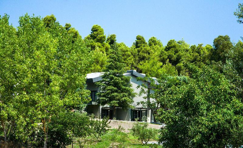 Sani More & Sani Woods (Adults Only) Екстер'єр фото